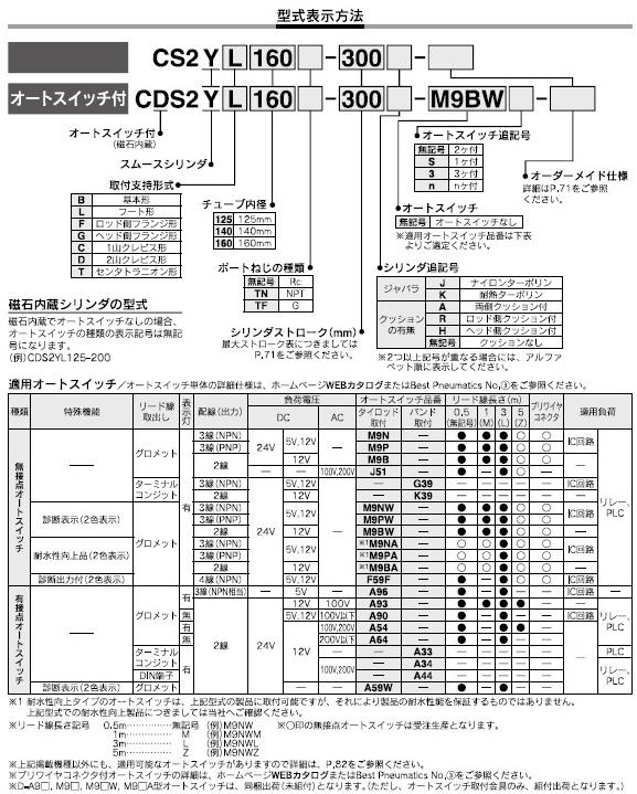 CS2Y,CDS2Yシリーズ 型式表示方法2